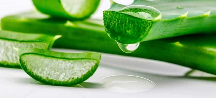 Hidratacion cutanea natural - blog farmacia 24h - Farmacia 24 horas Palma | Farmacia Balanguera